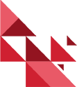 BNI Vision